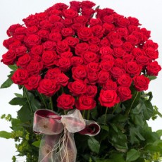 사랑하는그대에게