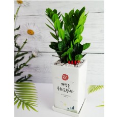 개업을 축하드립니다